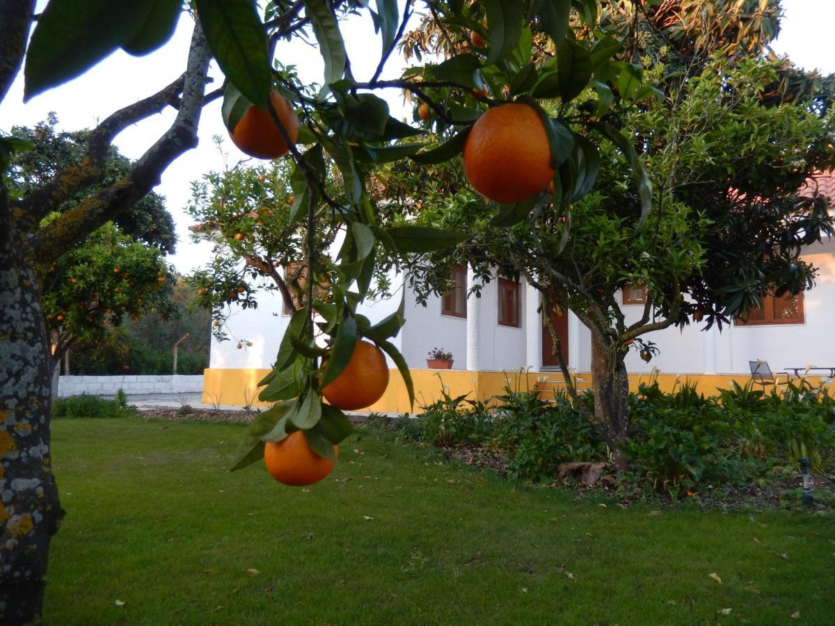 Quinta Laranjal Da Arrabida Bed & Breakfast Palmela Ngoại thất bức ảnh